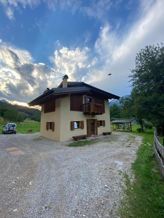 Apartment Casa Viola